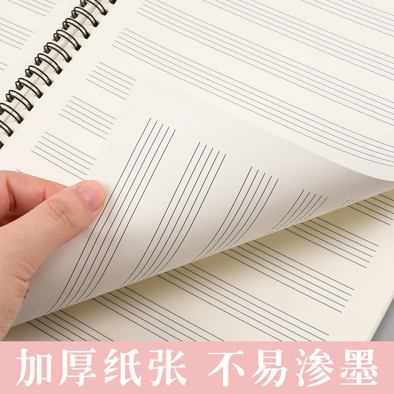 Spiral Blank Sheet Music Noteb - огляд і ціна Blank Sheet Music Notebook