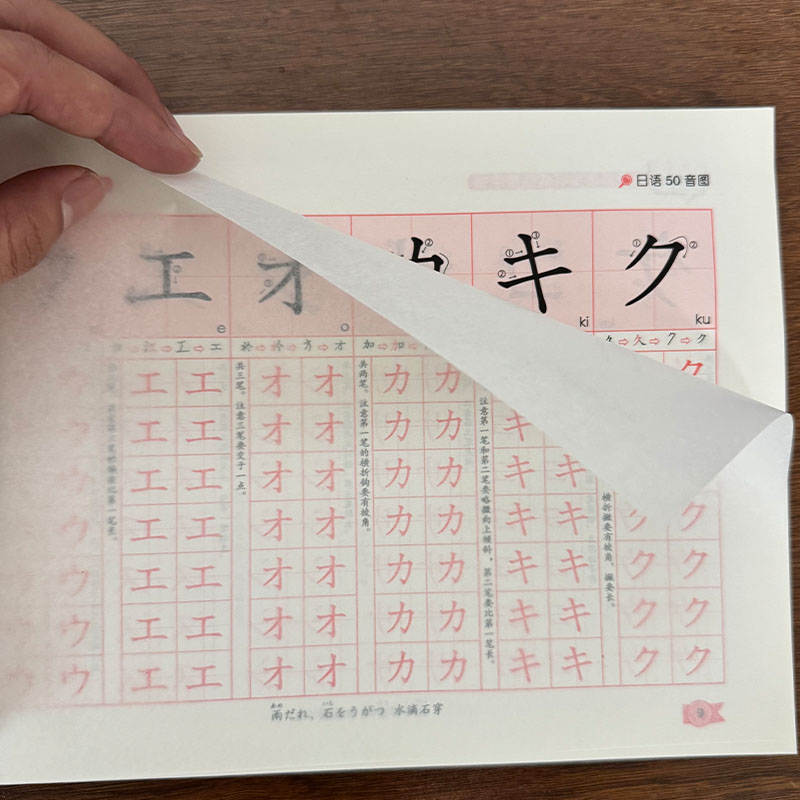 Zero Beginner Japanese Hiragan - огляд і ціна Chinese Calligraphy Practice Book